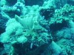 IMG_0338 IMG_0338