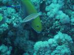 IMG_0339 IMG_0339