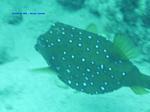 IMG_0346 IMG_0346