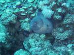 IMG_0353 IMG_0353