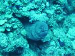 IMG_0356 IMG_0356