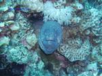 IMG_0358 IMG_0358