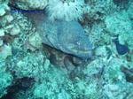IMG_0359 IMG_0359