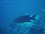 IMG_0360 IMG_0360