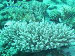 IMG_0361 IMG_0361