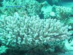 IMG_0362 IMG_0362