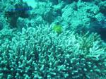 IMG_0363 IMG_0363