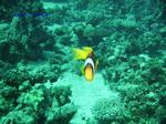 IMG_0365 IMG_0365