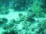 IMG_0369 IMG_0369