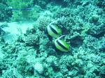 IMG_0370 IMG_0370
