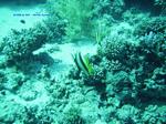 IMG_0371 IMG_0371