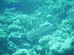 IMG_0372 IMG_0372