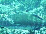 IMG_0374 IMG_0374