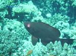 IMG_0377 IMG_0377