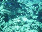 IMG_0378 IMG_0378