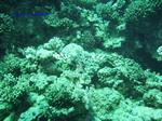 IMG_0379 IMG_0379