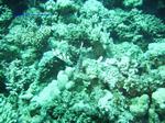 IMG_0380 IMG_0380