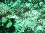 IMG_0381 IMG_0381