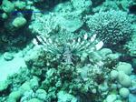 IMG_0382 IMG_0382