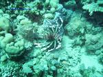 IMG_0383 IMG_0383
