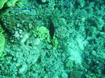 IMG_0384 IMG_0384