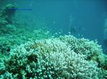 IMG_0385 IMG_0385