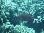 IMG_0387 IMG_0387