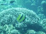 IMG_0388 IMG_0388