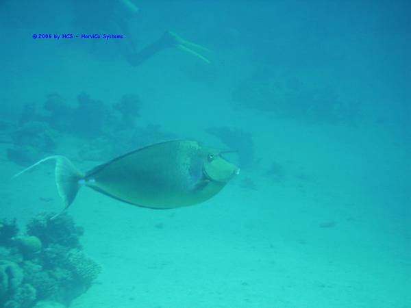 IMG_0389