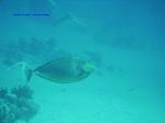 IMG_0389 IMG_0389