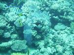 IMG_0391 IMG_0391