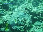 IMG_0392 IMG_0392