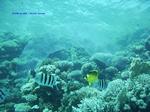 IMG_0393 IMG_0393