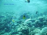 IMG_0394 IMG_0394