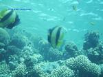 IMG_0395 IMG_0395