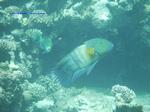 IMG_0396 IMG_0396