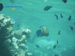 IMG_0397 IMG_0397