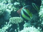 IMG_0398 IMG_0398