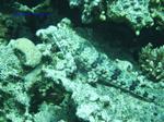 IMG_0399 IMG_0399