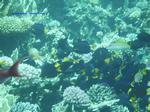 IMG_0400 IMG_0400