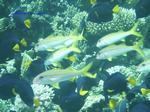 IMG_0401 IMG_0401
