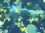 IMG_0402 IMG_0402
