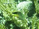 IMG_0403 IMG_0403