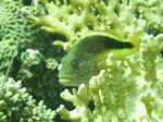 IMG_0404 IMG_0404