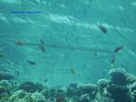 IMG_0405 IMG_0405