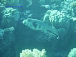 IMG_0407 IMG_0407