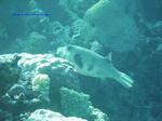 IMG_0408 IMG_0408