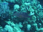 IMG_0409 IMG_0409