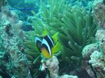 IMG_0411 IMG_0411
