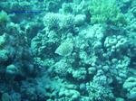 IMG_0413 IMG_0413